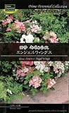 【種子】 Prime Perennial Collection ロサ キネンシス エンジェルウィングス Life with Green
