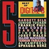 ベスト・オブ・デジタル・B5