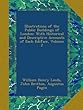 Illustrations of the Public Buildings of London: With Historical and Descriptive Accounts of Each Ediface, Volume 2