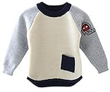 C-Princess 子供服 セーター ニット フリース トップス シャツ ボーイズ 男の子 キッズ ベビー クルーネック バイカラー 長袖 カジュアル グレー 100