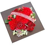 パラボッセ 遅れてごめんね 母の日 フラワーアレンジメント コントラスト 赤 横幅19cm x 19cm x 高さ19cm