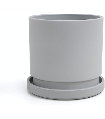 Amazon.co.jp: 植木鉢 おしゃれ 陶器鉢 トールスクエア S (2色)＜ 25cm