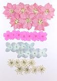 【お花屋さんの押し花セットNo.24D】上質 押し花 千鳥草 あじさい バーベナ レースフラワー ハンドメイド UVレジンでスマホケースも作成可能！！