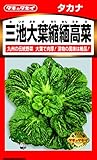 タキイ種苗 たかな 三池大葉縮緬高菜