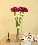 可憐で かわいい 造花の カーネーション 20本 ワイン 母の日 インテリアに