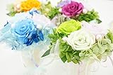 【ベルシック】 プリザーブドフラワー　グラスローズ　グリーン 枯れないお花　お祝・お見舞い　クリアケース付