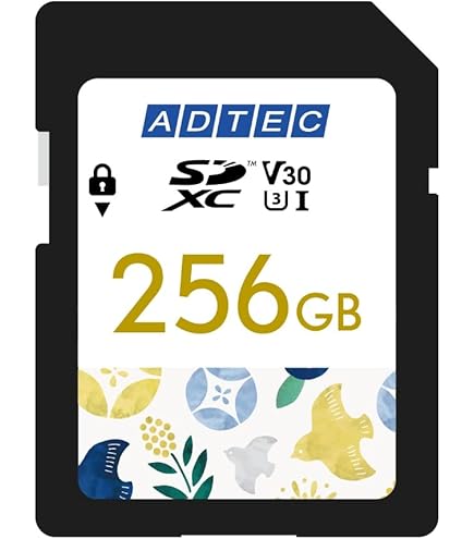 KIOXIA EXCERIA SDXCカード 256GB CLASS10