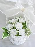 お仏壇 お供え 仏花 清華 せいか かご入 白い カーネーション アレンジ プリザーブドフラワー