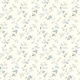 チェサピークhtm21563ナンシーブルーSpring Bloom Trail壁紙