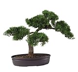 Nearly Natural 4106 Cedar Bonsai Decorative Silk Plant, 16-Inch, Green by Nearly Natural