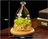 Lovoski DIY マイクロ 風景 植物 花　ボトル ガラスカバー 手芸材料 手作り雑貨 アクセサリー コルク ウィッシングボトル