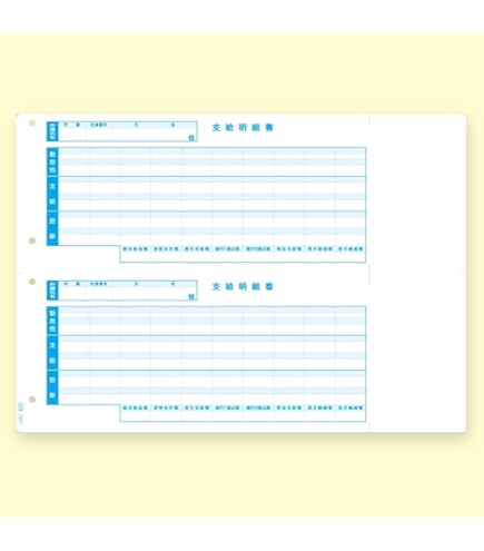 オービックビジネスコンサルタント ♡6202 単票封筒用支給明細書1200枚 Amazon.co.jp: オービックビジネスコンサルタント 単票封筒用支給明細