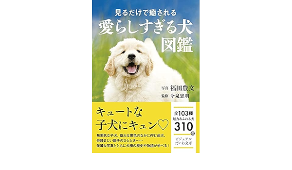 見るだけで癒される 愛らしすぎる犬図鑑 だいわ文庫 今泉 忠明 福田 豊文 本 通販 Amazon