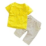 【SEBLES】ベビー 赤ちゃん 男の子 半袖 ラウンドネック プリント 無地 ポケット Tシャツ チェック ズボン ボトムス パンツ セット ツーピース コットン 綿(タイプD,100cm)