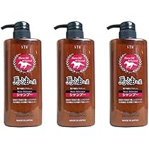 Amazon | エスティヒッツ 【まとめ買い】馬油&炭シャンプー 600ml【×3