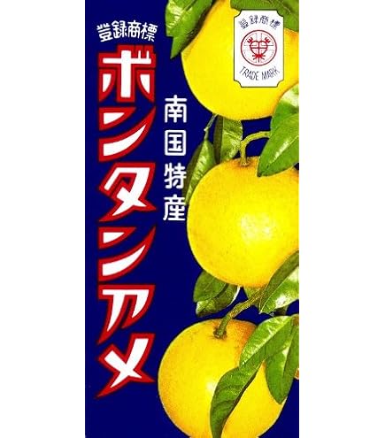 Amazon.co.jp: セイカ パイナップルアメ BOX 10粒 ×4 ボンタンアメ 14