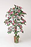 観葉植物　ブーゲンビリア 　高さ：約167cm　天然木使用