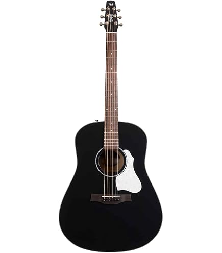 Amazon | Seagull (シーガル) アコースティックギター S6 Cedar