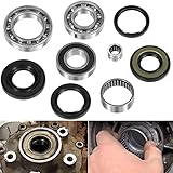 Bonbo リアディファレンシャルベアリングとシールキット Suzuki Ozark 250 LTF250 2X4 2WD 2002-2014用