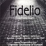 �t�B�f���I*�̌�