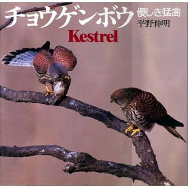 Amazon.co.jp: チョウゲンボウー飛型コレクションー : 阿部孝寿: 本