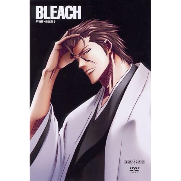 BLEACH DVD 尸魂界・潜入篇