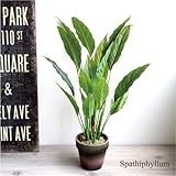 観葉植物 スパティフィラム H48　造花 消臭 CT触媒 インテリア フェイクグリーン