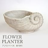 プランター 植木鉢 貝型鉢 アンモナイト大 フラワーベース （底穴あり） レジン 貝モチーフ 鉢 オーナメント