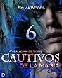 Caballeros de Íboris 2: Cautivos de la magia (Capítulo 6 - FINAL): Una serie de fantasía y erótica gay (Spanish Edition)