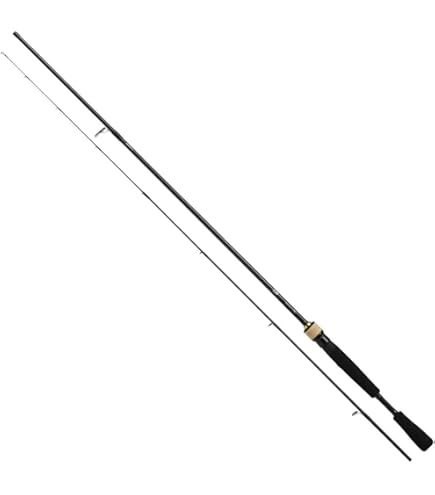 Amazon | ダイワ(Daiwa) バスロッド ベイト クロノス 672LB 釣り竿