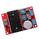 Fenteer アンプボード　BTL Out　DC 12V-24V　Mono チャンネル　デジタル　パワー　オーディオ　