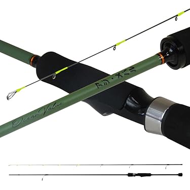 Amazon.co.jp 最新リリース: ロックフィッシュ・アジングロッド