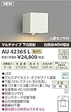 コイズミ照明　アウトドアライト【AU42365L】