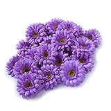 SUND　造花　ガーベラ　花のみ　大きめ　花ボール　20輪セット　DIY　手作り　インテリア　雑貨　花部分のみ　シルクフラワー　可愛いカラバリ 高品質　造花　枯れない　結婚式　誕生日　発表会　入学式　