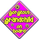 FlORAL GORGEOUS GRANDCHILD Non Personalised novelty baby on board car window sign. by Just The Occas