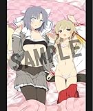 閃乱カグラ ソフマップ特典 タペストリー 雪泉 華風流