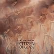 Citizen of Glass [12 inch Analog]