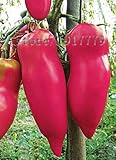 100pcs / tomato seeds, rare vegetables, heirloom organic vegetables. Ukraine pink tomatoes. free del