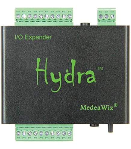 Amazon | MedeaWiz DV-S1 Sprite Seamless Looping Media Player with  