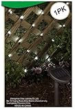 Solar Mesh Net String Lights, 48 by 48-Inch [並行輸入品]