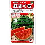 [野菜タネ]スイカ：紅まくら の種2袋セット[大玉枕型すいか　春まき][タキイ種苗]