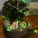 RaiFu ストリングスライト ガーデンライト 夜間 屋外 防水 クリスマス 新年 結婚式 ガーデン 装飾 2M 20LED