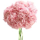 Zhhlinyuan 良質 6 Heads Artificial Silk Carnations Flowers Wedding Party ホーム Simulation Bouquet Decor