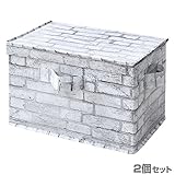 山善(YAMAZEN) 収納ボックス カラーボックス対応 YTCT-1PF(WHB)*2 フタ付き2個 ホワイトブリック