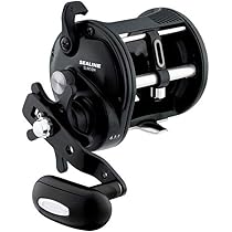 DAIWA両軸リール SEALINE SLW50H 512T87bpMBL._AC_UL210_SR210,