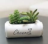 CCTZアイデアの盆栽 小さい盆栽 人工植物 人工観葉植物 プルトップ缶鉢のデザイン 多肉植物