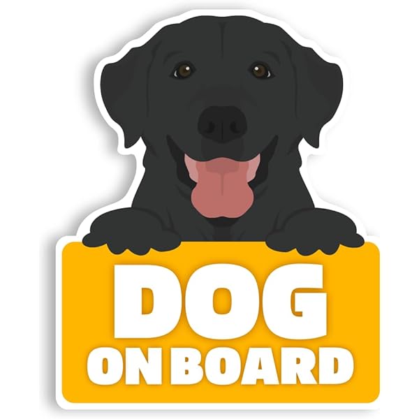 Amazon.co.jp: flying DOG アニメコレクション DOG RUN 3枚セット 