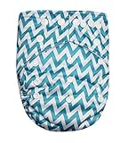 See Diapers Pocket Baby Cloth Diaper 2 Microfiber Inserts Adjustable (T Chevron) by See Diapers