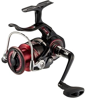 磯竿　波濤　日本製 DAIWA（釣り） ダイワ 磯竿 波濤 1.5-53・N [2021年モデル