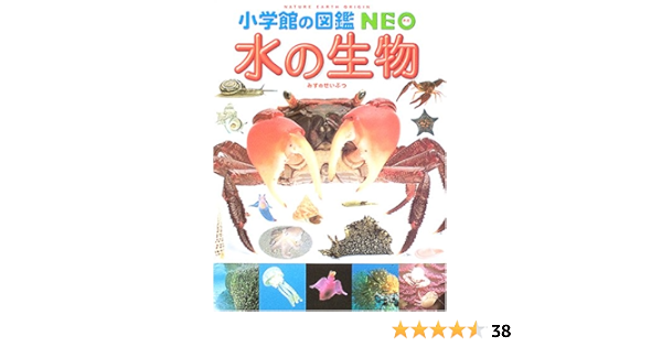 小学館の図鑑neo 水の生物 白山 義久 白山 義久 松沢 陽士 楚山いさむ 本 通販 Amazon